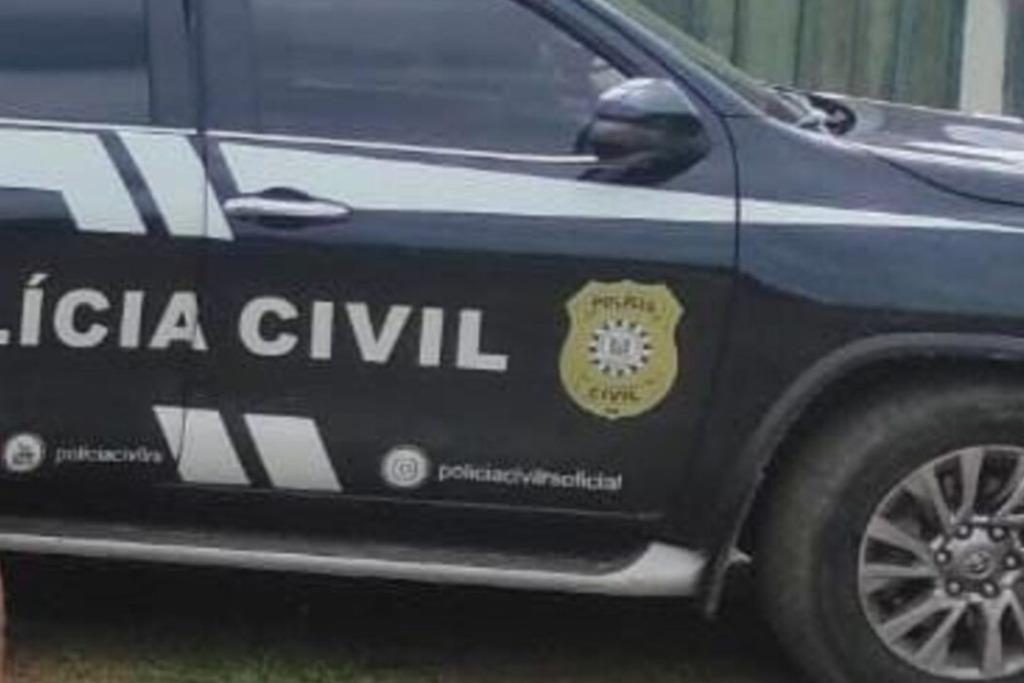 Foto: Polícia Civil (Divulgação) - 