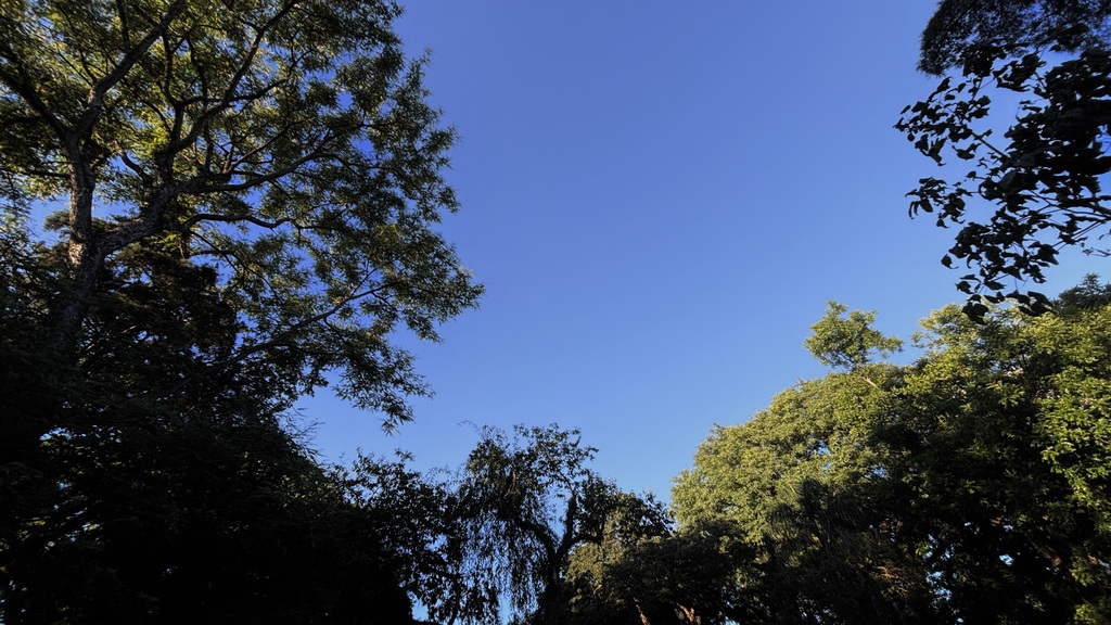 Santa Maria terá tempo firme nesta sexta, mas chuva retorna no fim de semana; veja a previsão completa