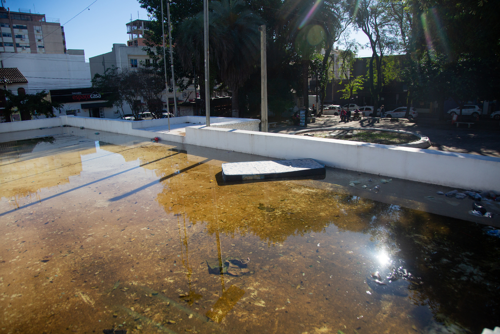 título imagem Santa Maria registra primeiro caso de dengue em 2025; doença foi contraída na cidade