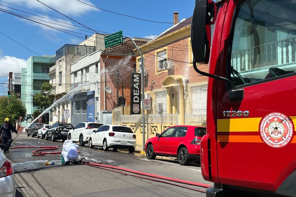 Enxame de marimbondos bloqueia rua no centro de Santa Maria; trânsito já flui normalmente