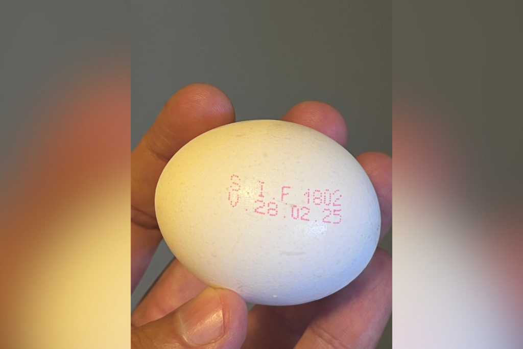 Ovos com carimbo: entenda a medida que entra em vigor a partir de março e qual o prazo de validade do alimento Ovos com carimbo: entenda a medida que entra em vigor a partir de março e qual o prazo de validade do alimento