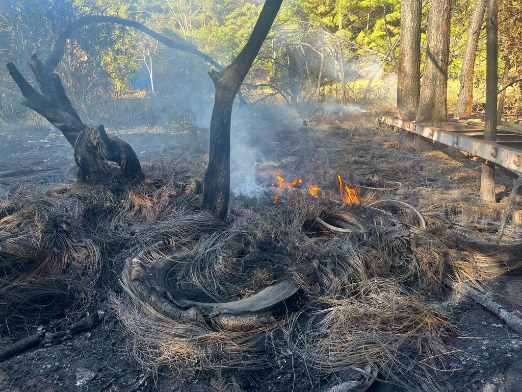 título imagem Incêndio atinge vegetação e pneus velhos nas proximidades da BR-392 em Santa Maria