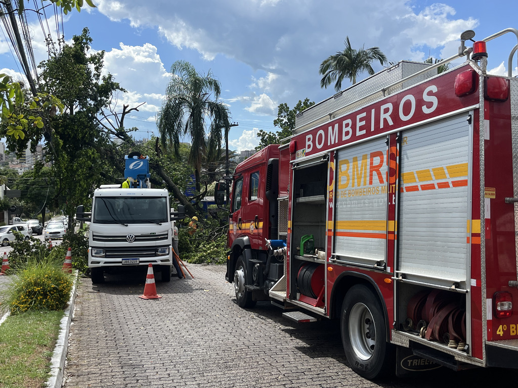 título imagem Trânsito na Avenida Fernando Ferrari é liberado após queda de árvore