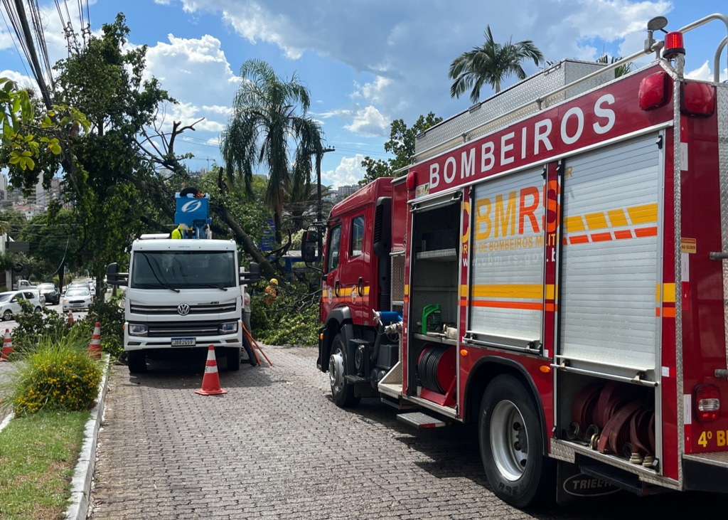 Trânsito na Avenida Fernando Ferrari é liberado após queda de árvore