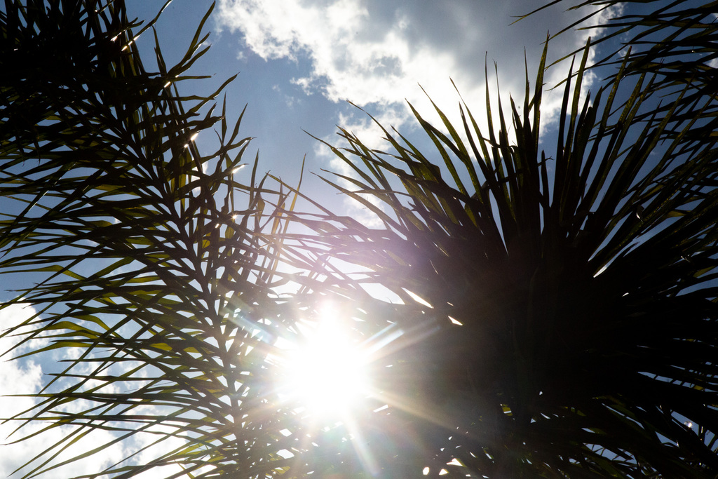 Em semana de calor extremo, Santa Maria terá desconforto térmico acima dos 45ºC