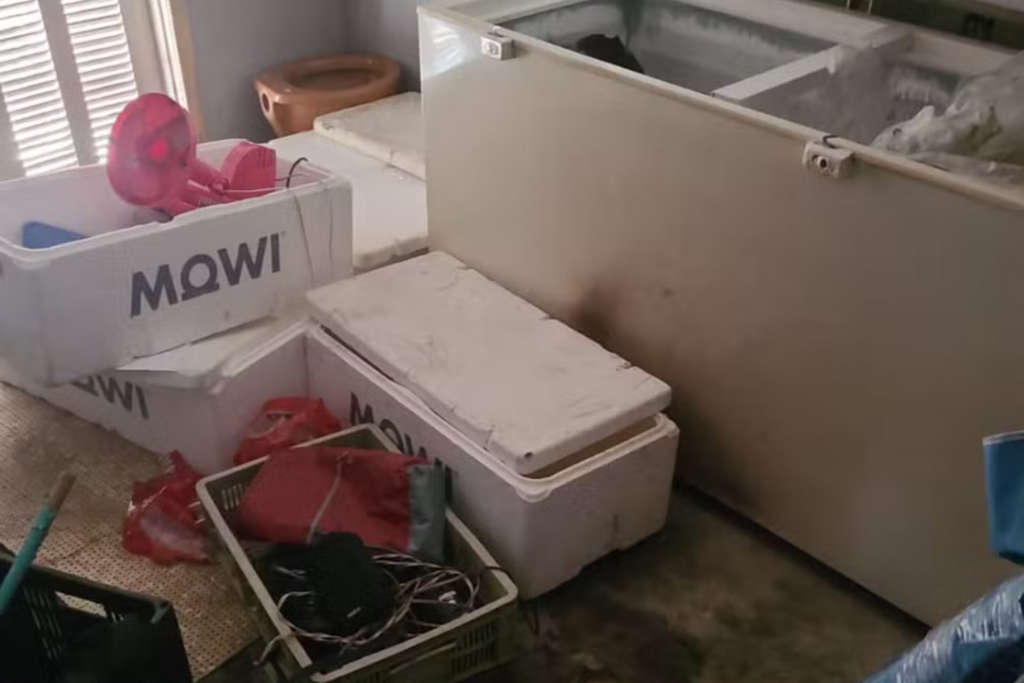 Jovem de 23 anos é preso por suspeita de esquartejar, carbonizar e esconder corpo do padrasto em freezer no Litoral Norte