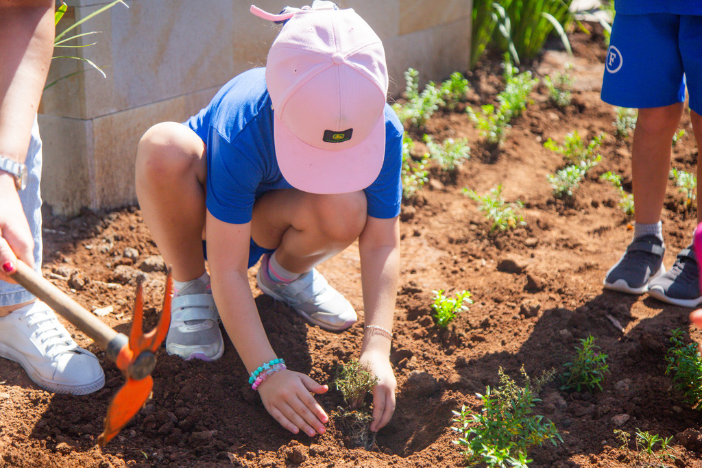Fotos: Beto Albert (Diário) - Mudas de flor foram plantadas em canteiros entorno da área de recreação.