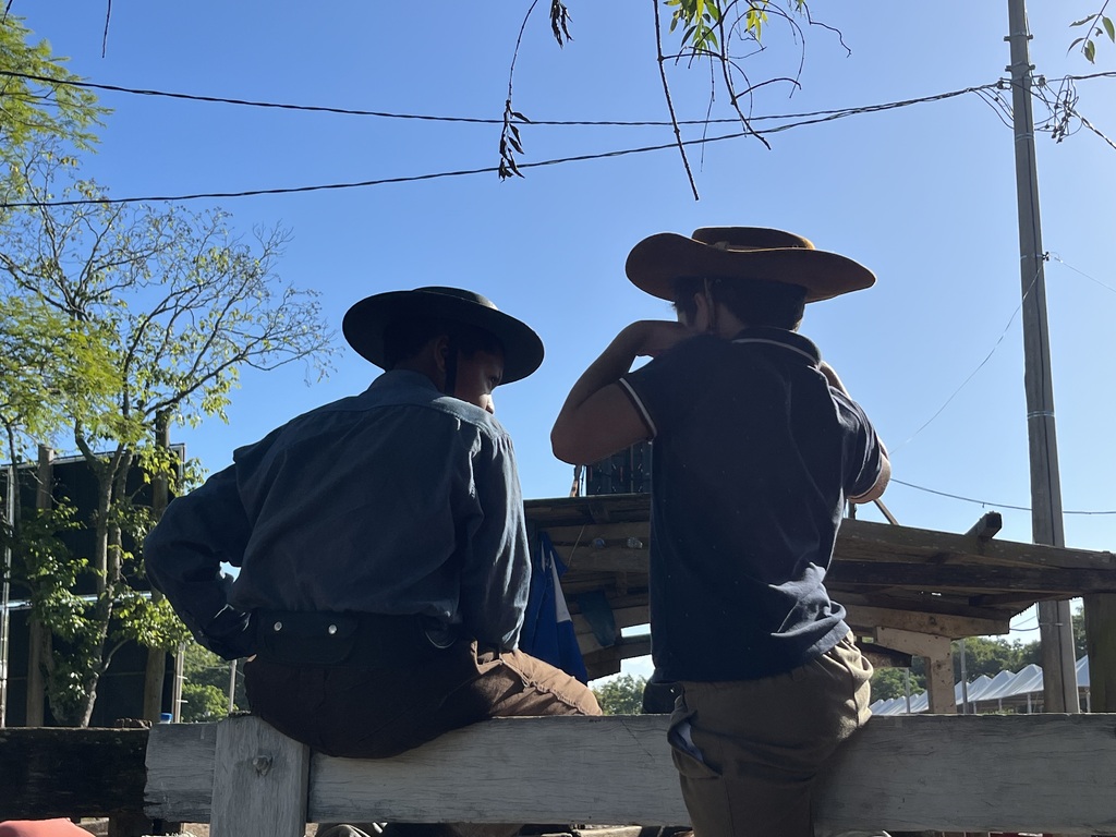 Fotos: Bibiana Pinheiro (Diário) - Enzo (à esq)