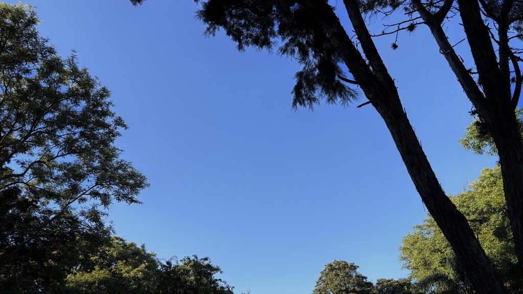 Semana será de tempo firme e sol na região; sexta-feira terá mínima de 14°C em Santa Maria