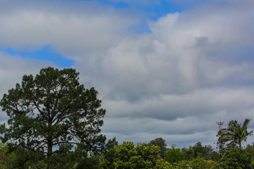 título imagem Quinta-feira começa com nebulosidade e chuva fraca em Santa Maria; tarde será de temperaturas amenas e sol entre nuvens