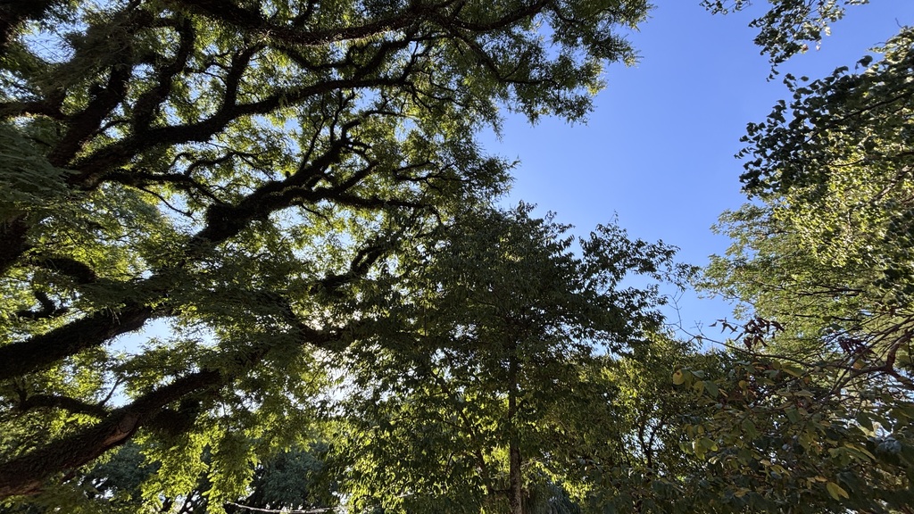 Foto: Rian Lacerda (Diário) - 