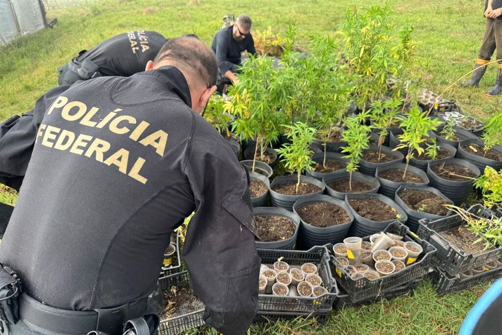 Foto: Polícia Federal - 