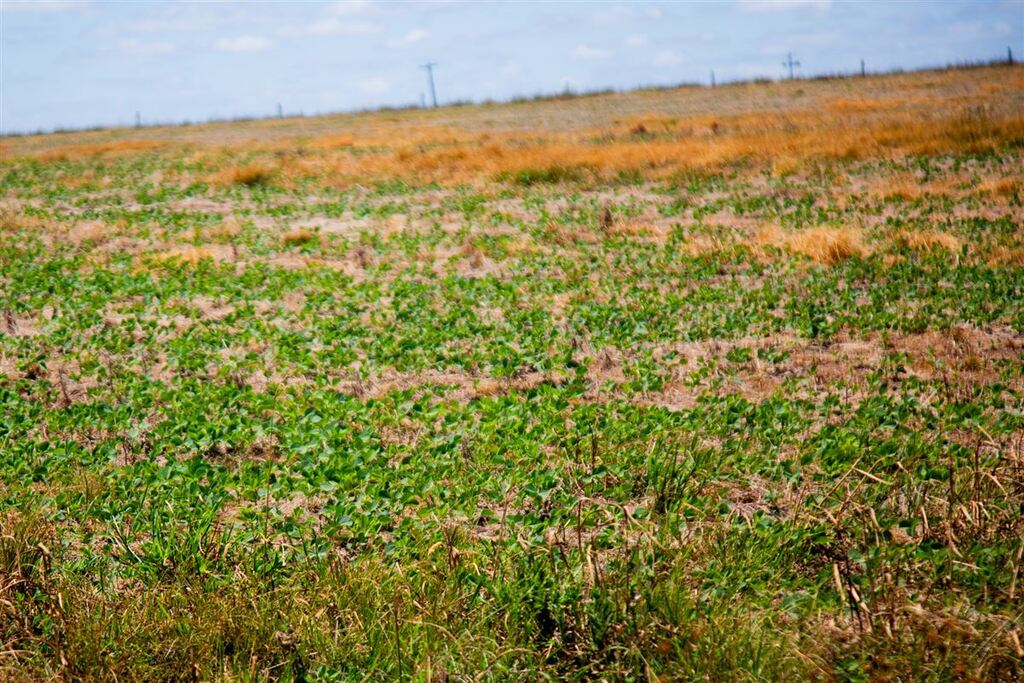 Mais dois municípios da Região Central têm situação de emergência reconhecida pelo governo federal