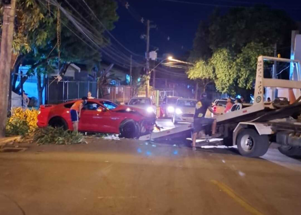 Foto: Divulgação - 