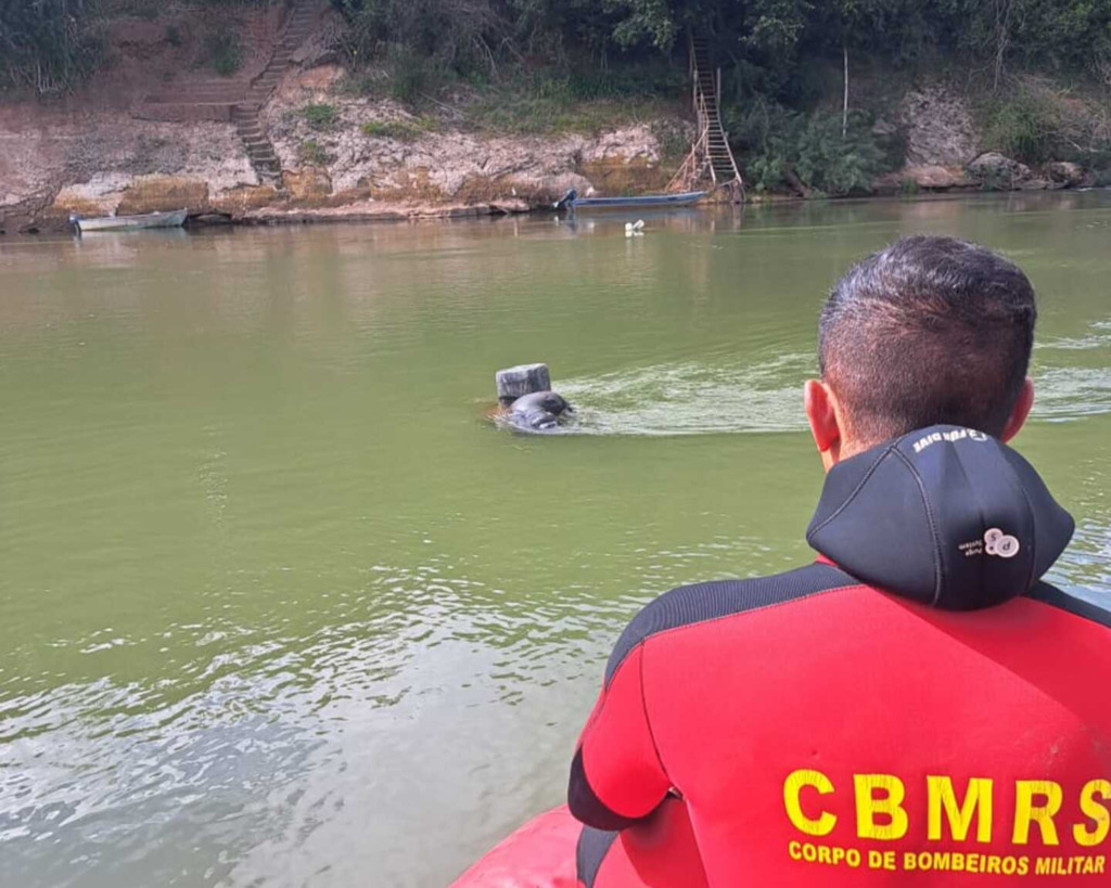título imagem Bombeiros localizam corpo de homem que havia sumido nas águas do Rio Jacuí em Paraíso do Sul