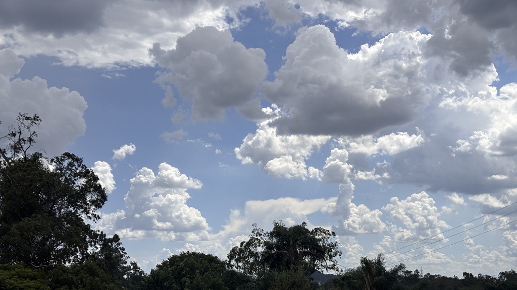 Foto: Rian Lacerda (Diário) - 