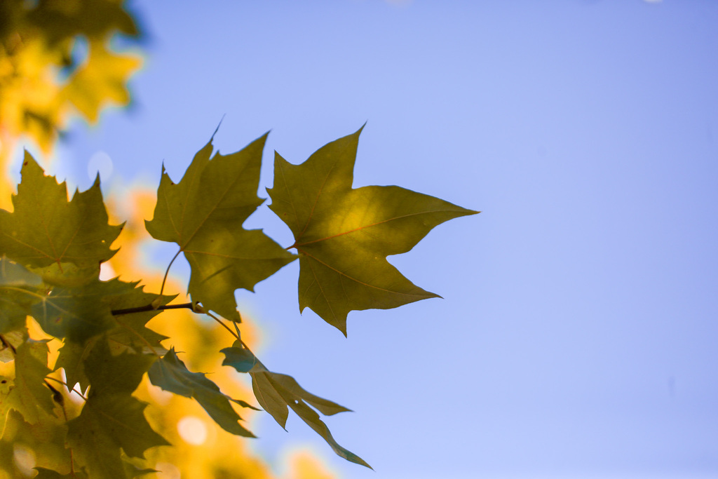 Foto: Beto Albert (Diário) - Sem influência de El Niño ou La Niña, estação deve ter chuvas dentro da média e menos extremos térmicos.