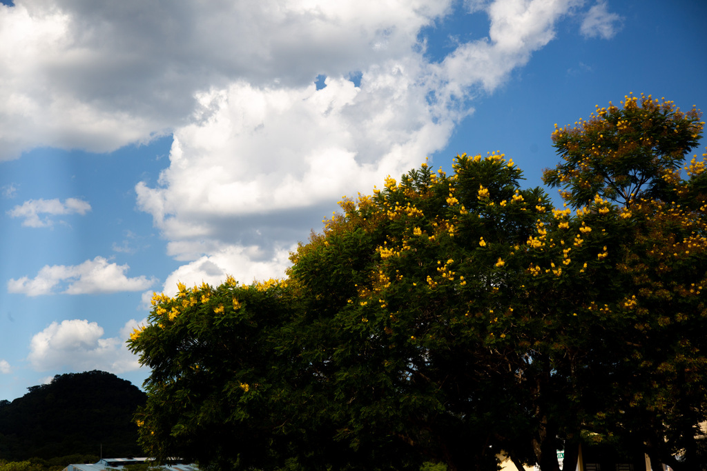 Foto: Beto Albert (Diário) - 