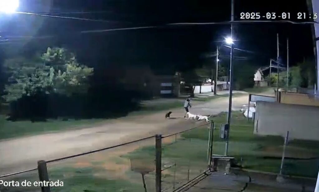 Foto: Reprodução - Uma câmera de segurança flagrou o momento do ataque.