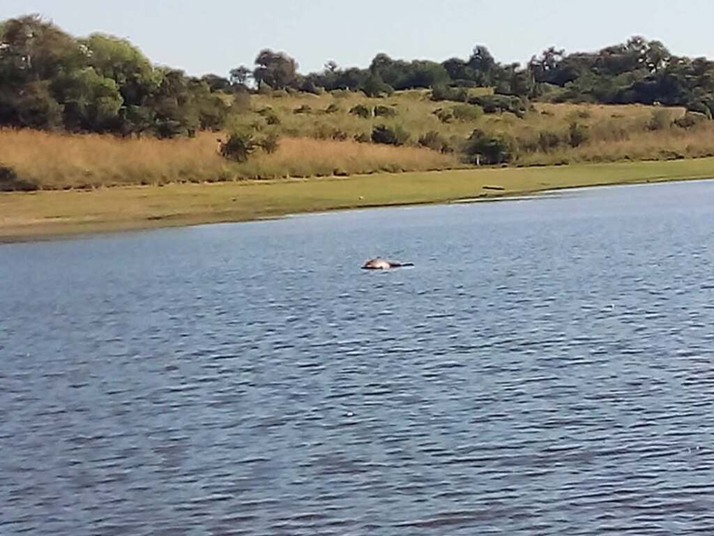 Fotos: Divulgação Apacha - 