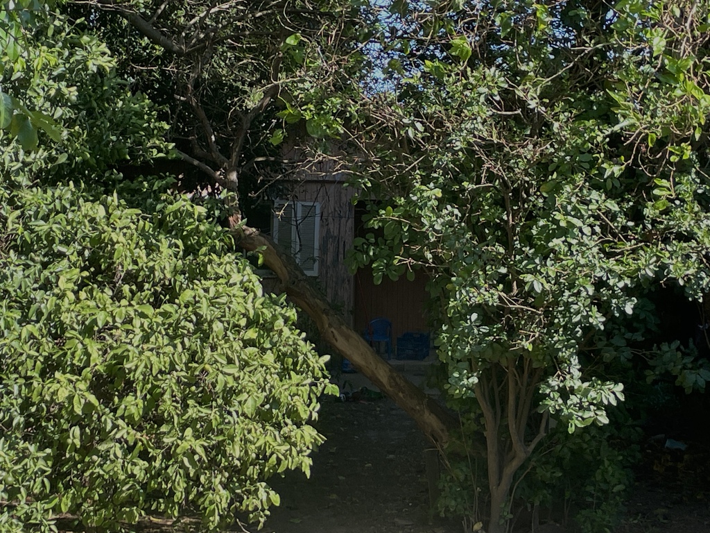 título imagem Ciúme que mata: especialista fala sobre comportamentos que podem levar a casos de violência