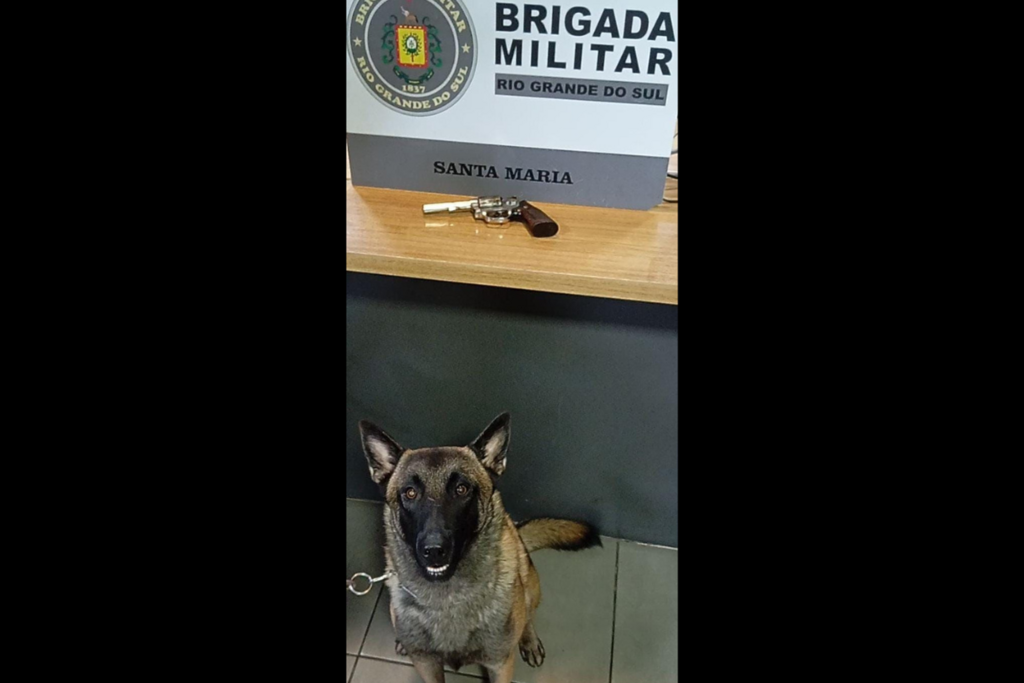 Homem tenta se desfazer de objeto e é preso por porte ilegal de arma de fogo; ação contou com auxílio do cão Carlton
