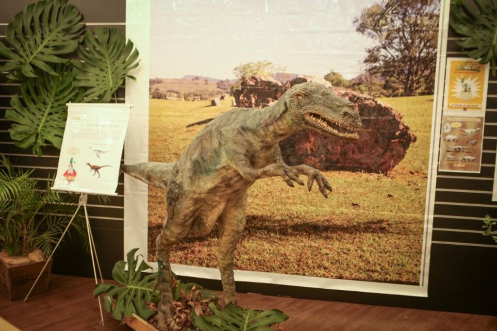 Últimos dias da exposição 