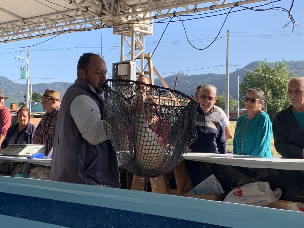 título imagem Consumidores buscam variedade no primeiro dia da Feira do Peixe Vivo em Santa Maria