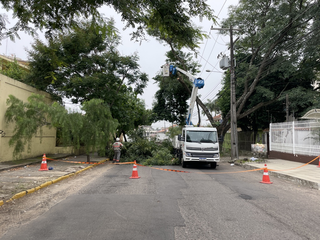 Poda de árvore interdita trecho do Bairro Nossa Senhora de Lourdes
