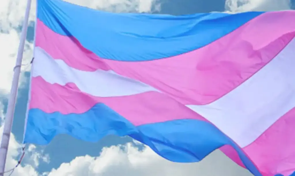 Entidades reagem a vetos de terapias hormonais para menores