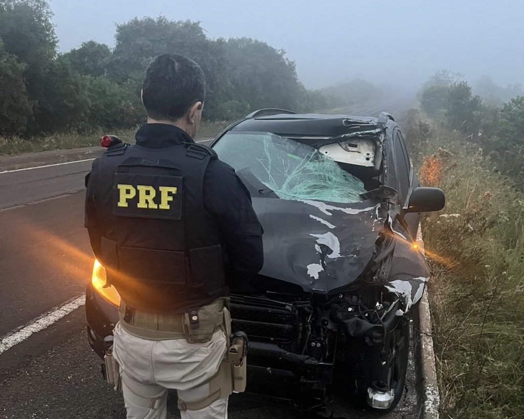 Cavalo morre após atropelamento na BR-158, em Santa Maria