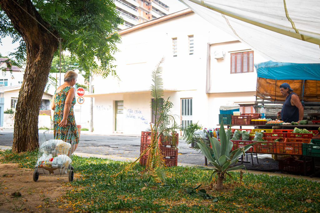 Feiras do produtor ocorrem em diferentes regiões de Santa Maria nesta semana; veja o cronograma Feiras do produtor ocorrem em diferentes regiões de Santa Maria nesta semana; veja o cronograma