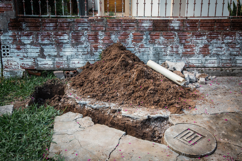 Foto: Nathália Schneider (Diário) - 