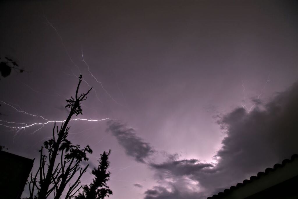 Foto: Renan Mattos (Arquivo/Diário) - 
