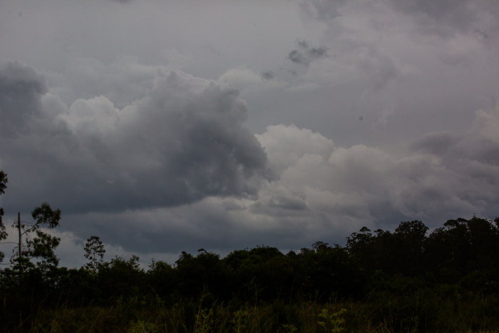 título imagem Quarta-feira inicia com céu nublado em Santa Maria; chuva deve retornar a partir da tarde
