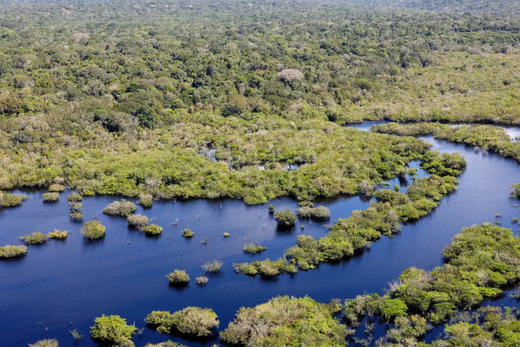 Desmatamento apresenta queda no Brasil, aponta levantamento