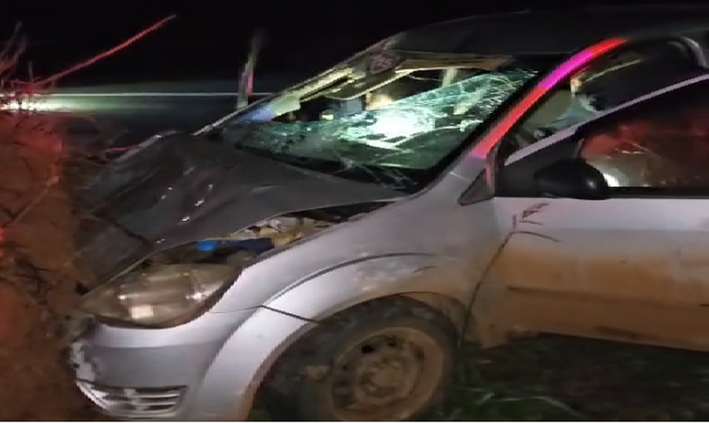 Onze cavalos soltos causam acidente e deixam motorista ferido na BR-287