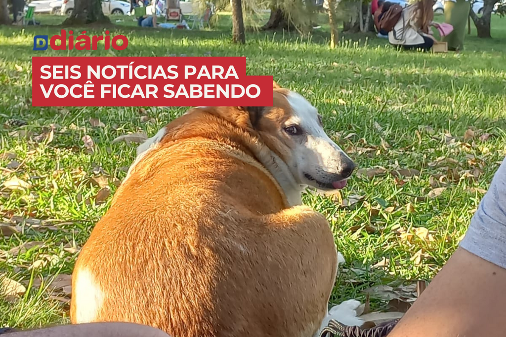 Cão Silveira, da UFSM, viraliza e vira o assunto mais comentado do Brasil e outras 5 notícias