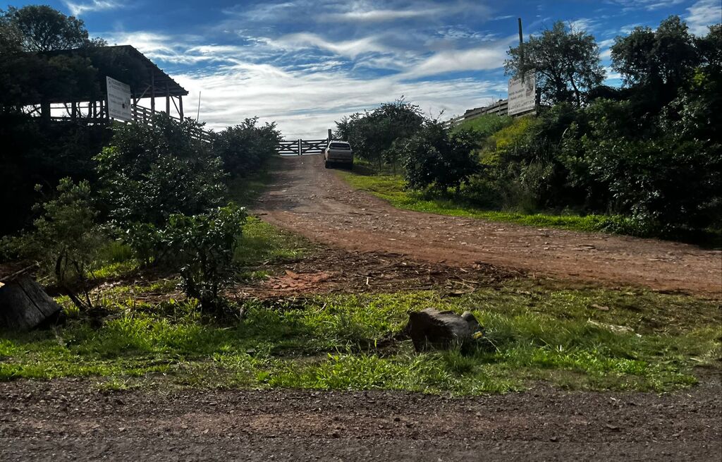 título imagem Motorista morre após cair de caminhão durante carregamento em Santa Maria