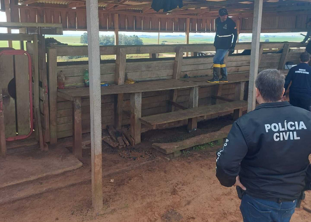 Polícia Civil apreende gado furtado e armas durante operação em cidade da região