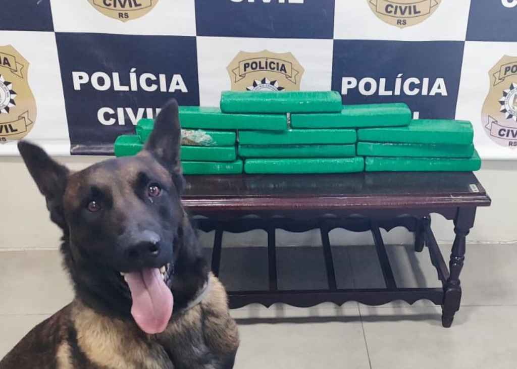Mulher é presa com 10 quilos de maconha em abordagem da Polícia Civil em cidade da região