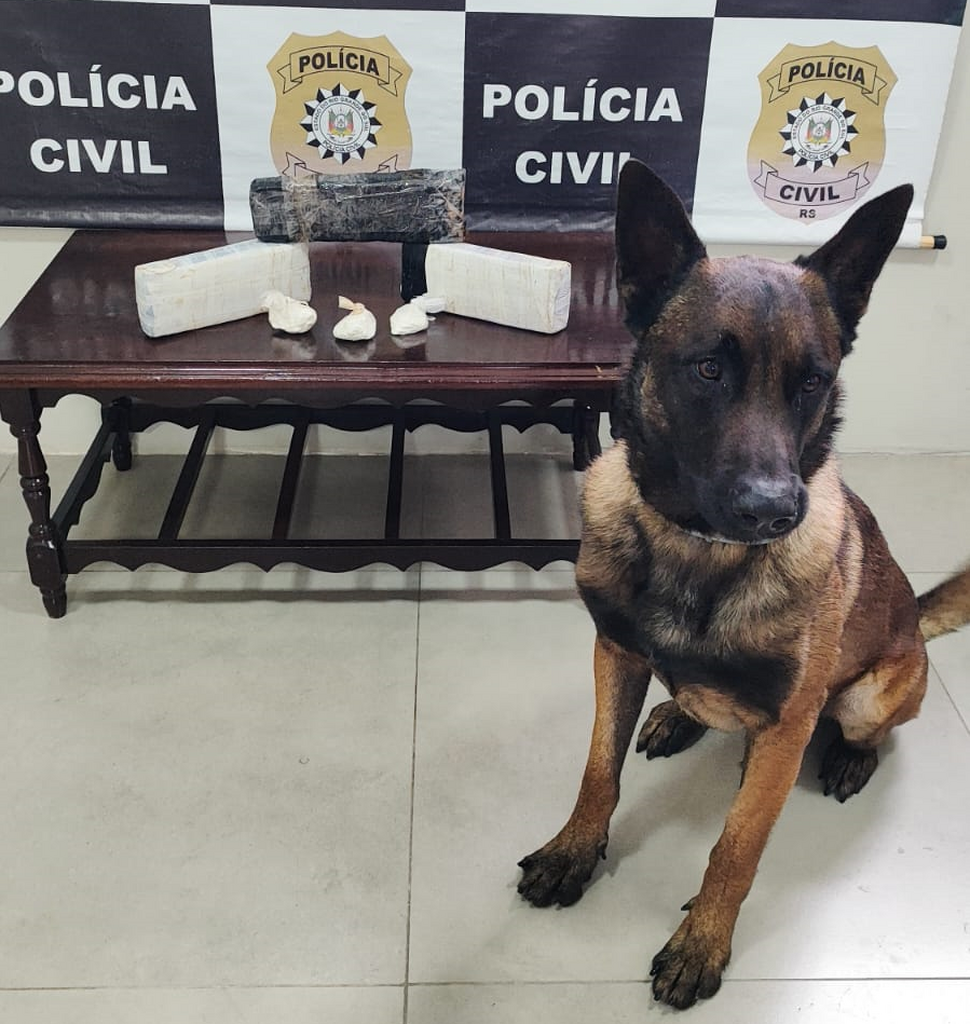 Foto: Polícia Civil - 