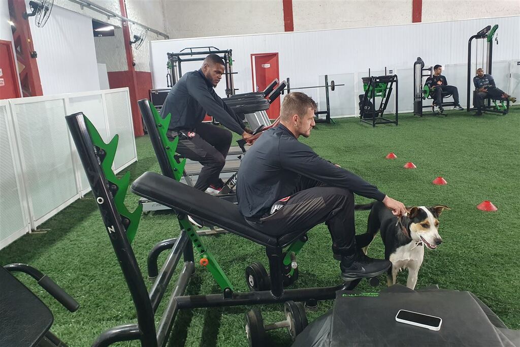 título imagem Treino regenerativo e pensamento no compromisso de domingo