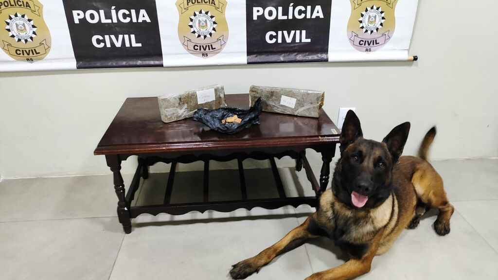 título imagem Polícia Civil apreende mais de R$ 45 mil em drogas escondidas em área de mata em cidade da região