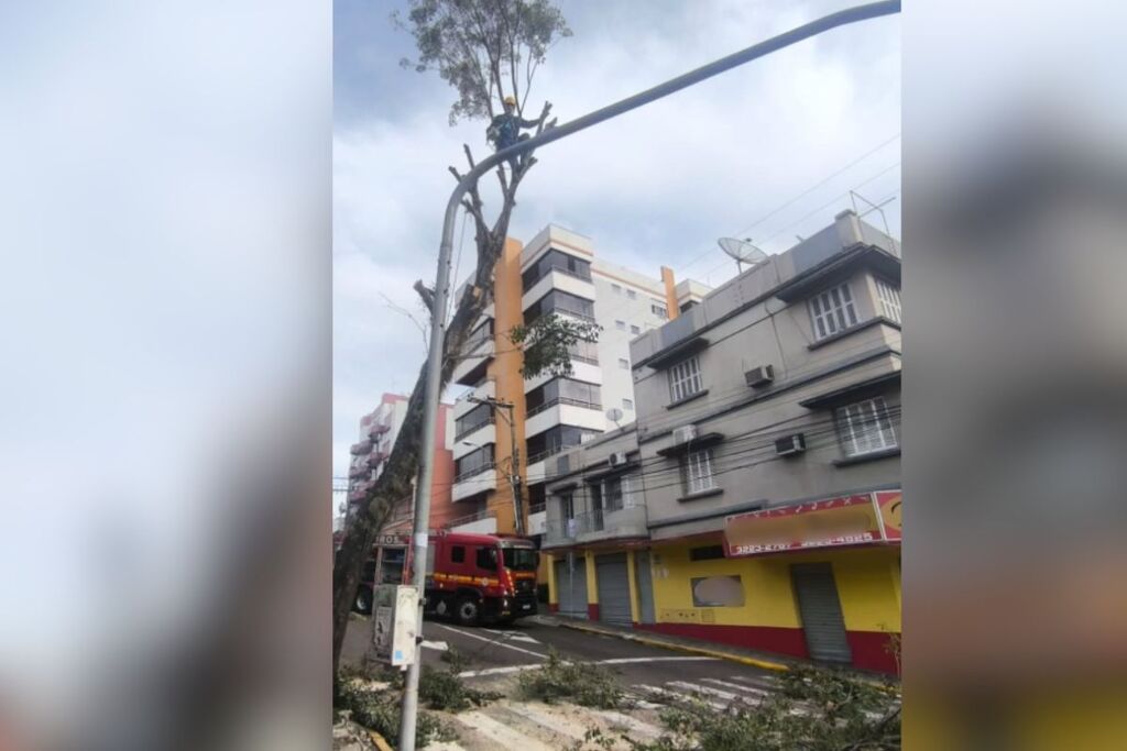 Bombeiros realizam o corte de duas árvores que apresentavam risco de queda na região central de Santa Maria
