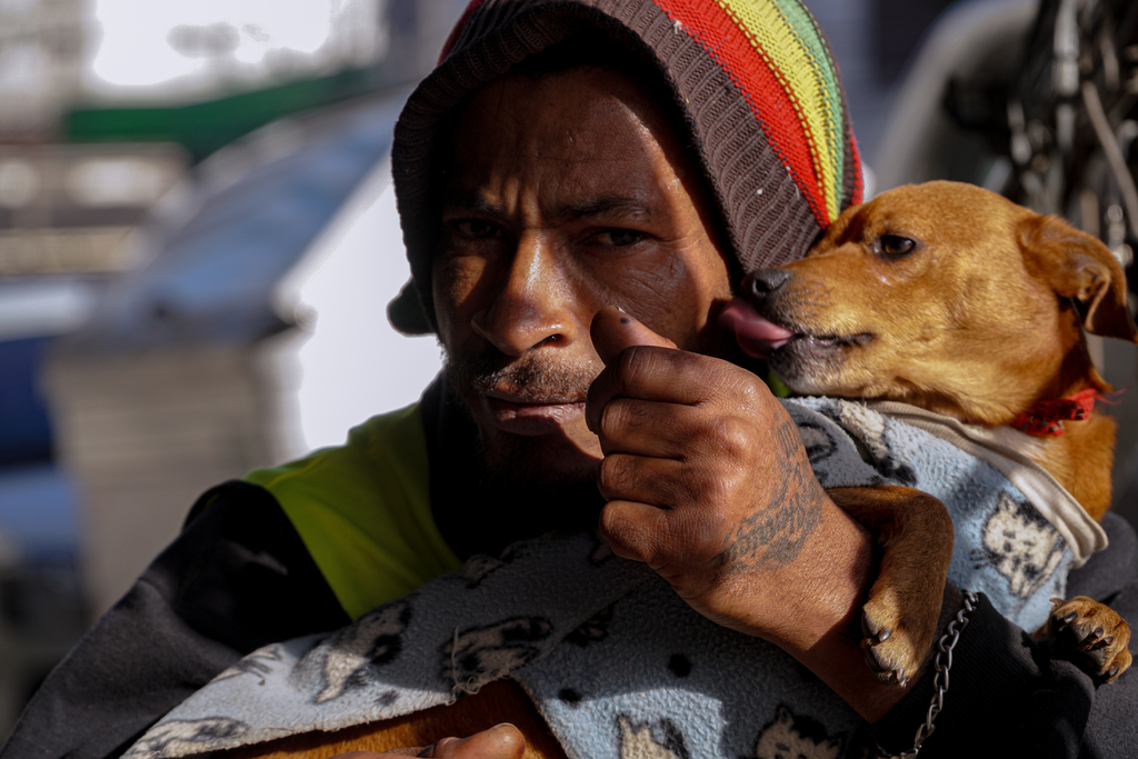 Galeria de imagens: 