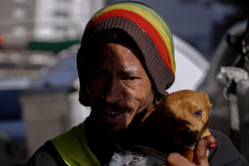 Galeria de imagens: 