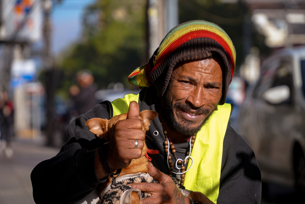 Galeria de imagens: 