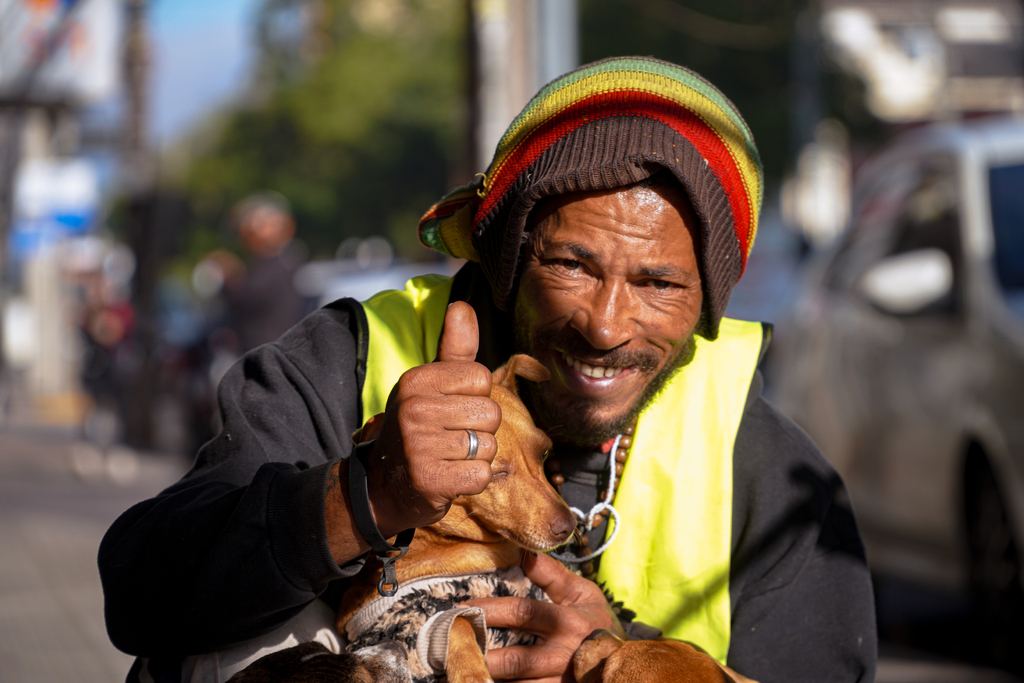 Galeria de imagens: 