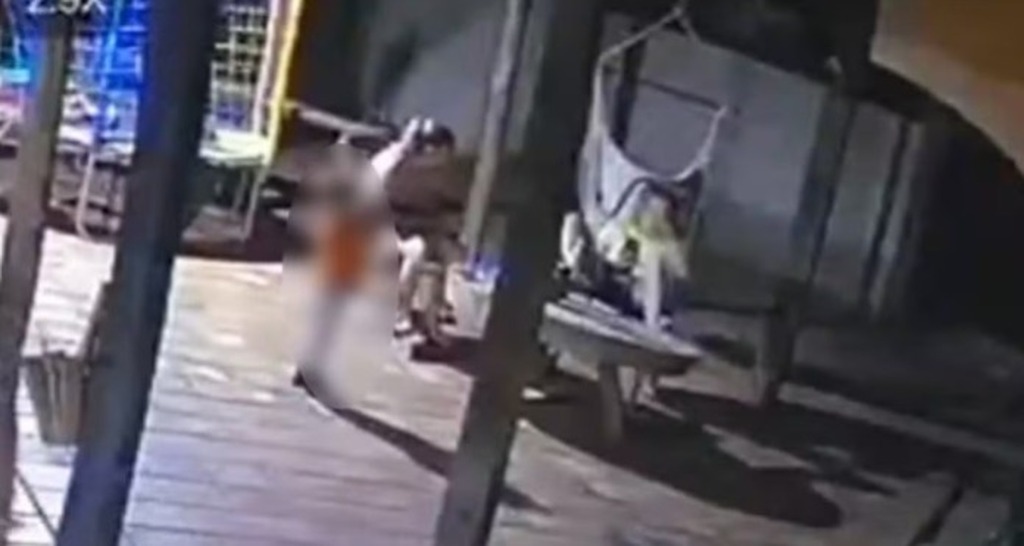 Foto: Reprodução - Imagem do vídeo da família.